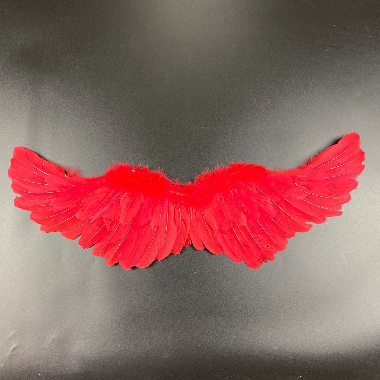 Black Feather Wings for Halloween Cosplay (Adult Size)