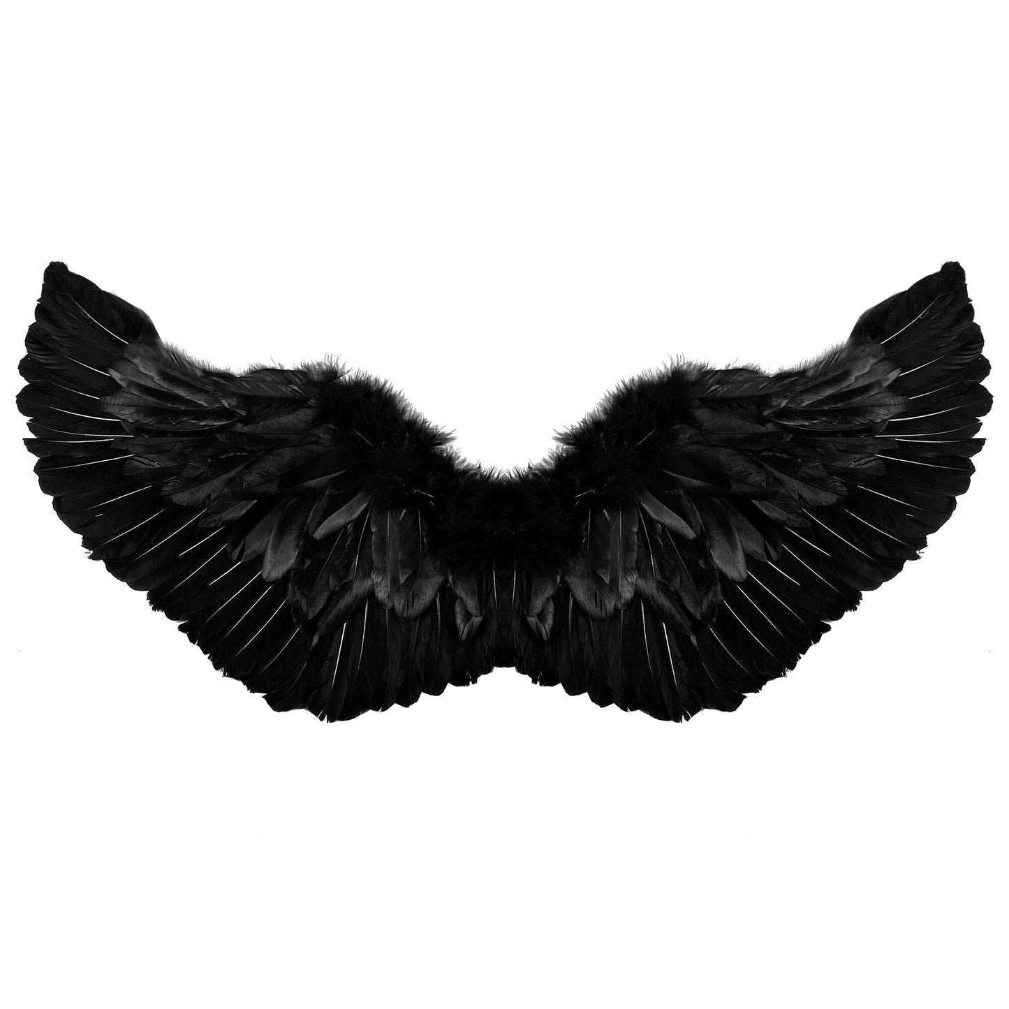 Black Feather Wings for Halloween Cosplay (Adult Size)