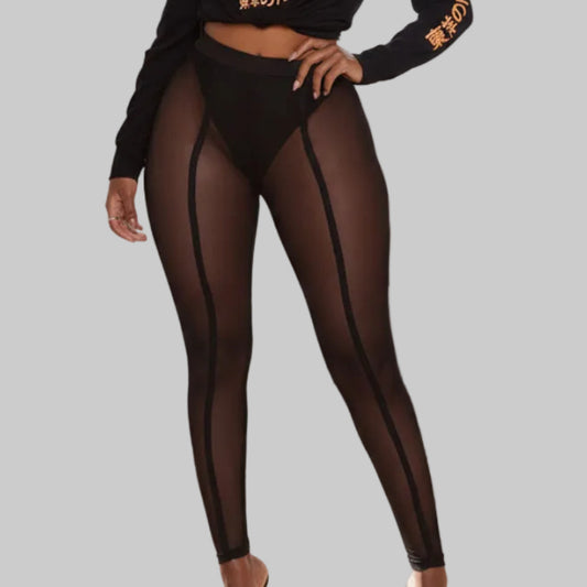Sheer Mesh Leggings in Black - Vertical Seam Detail Solid Waistband Full Length Sizes S-2XL | The Pretty Pistol